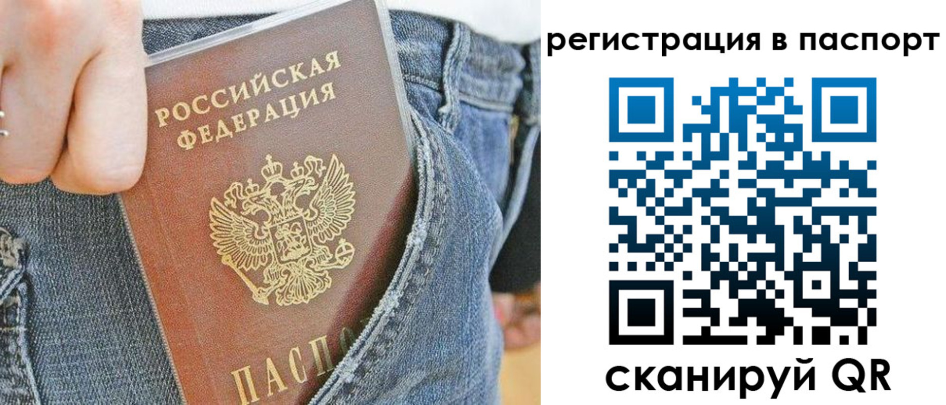 регистрация в Петропавловске-Камчатском